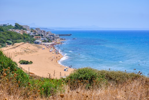 people on beach during daytime