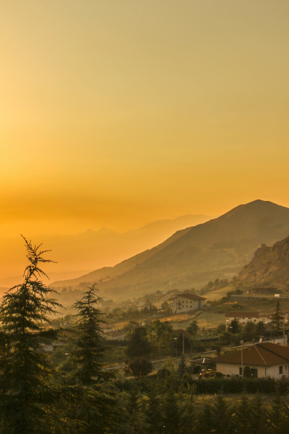 green trees near mountain during sunset