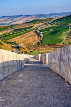 gray concrete wall near green grass field during daytime