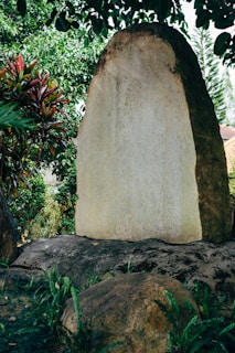 A large, rough-hewn stone slab stands upright among lush green foliage, surrounded by various plants and trees. The stone appears weathered, with a smooth surface and irregular edges, casting shadows on the ground beneath.