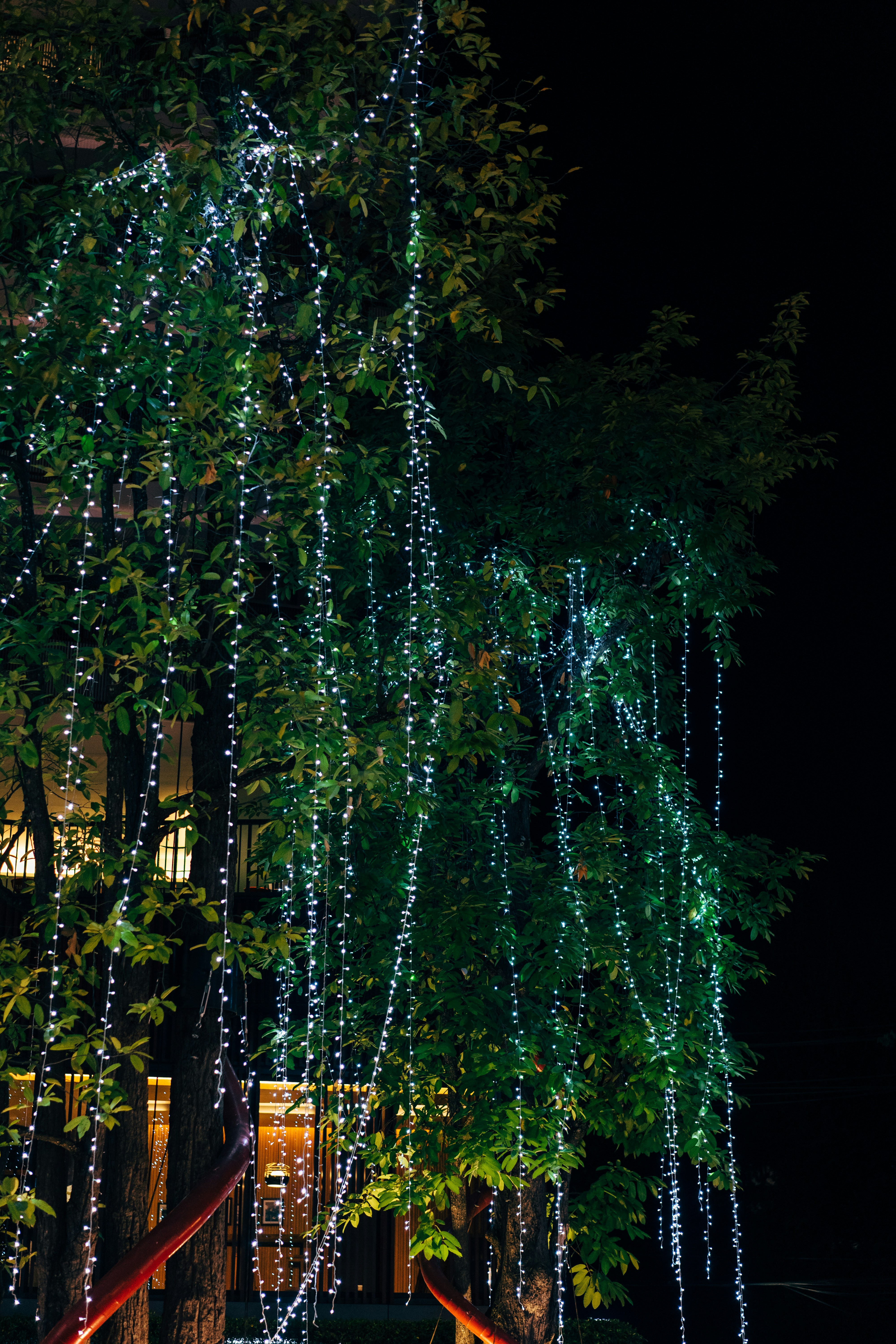 Photo by markuswinkler