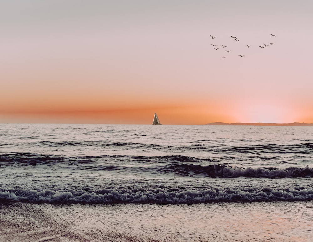silhouette de voilier sur la mer pendant le coucher du soleil
