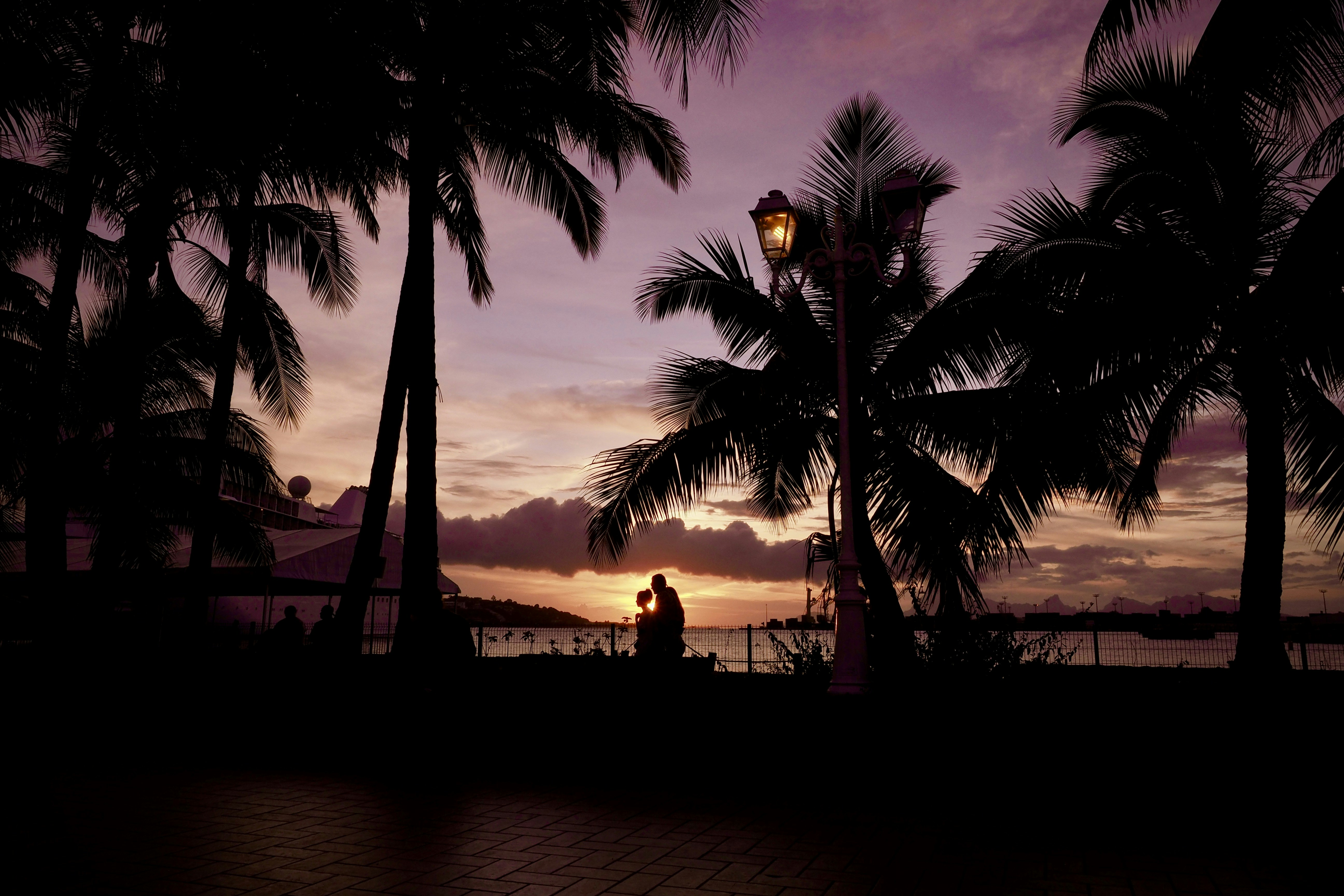 silhouette of people standing near body of water during sunset, 
