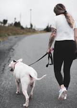 woman in white shirt and black pants holding white short coat large dog
