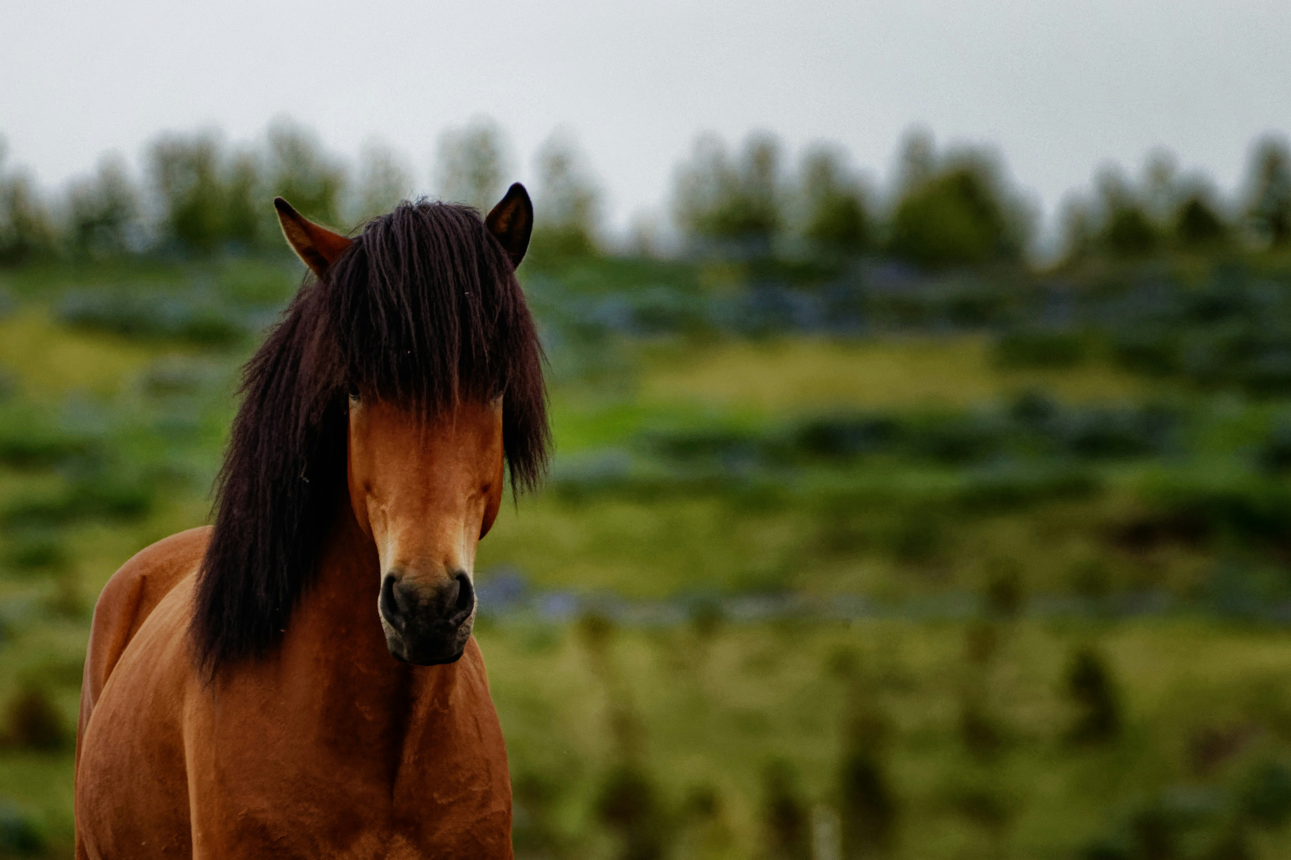 Photo by yvesalarie