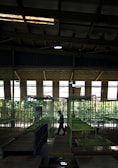An industrial-style interior with a high ceiling covered in metal beams and fluorescent lights. Rows of green metal frames and platforms are positioned neatly, suggesting it could be a factory or market space. A person walks through the aisles, casting a long shadow, while sunlight filters through the windows, creating contrasts of light and shadow.