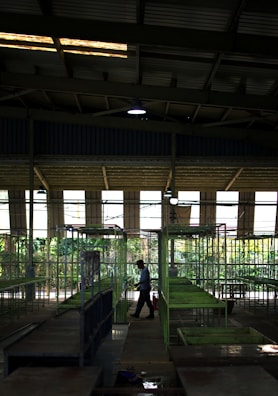 An industrial-style interior with a high ceiling covered in metal beams and fluorescent lights. Rows of green metal frames and platforms are positioned neatly, suggesting it could be a factory or market space. A person walks through the aisles, casting a long shadow, while sunlight filters through the windows, creating contrasts of light and shadow.