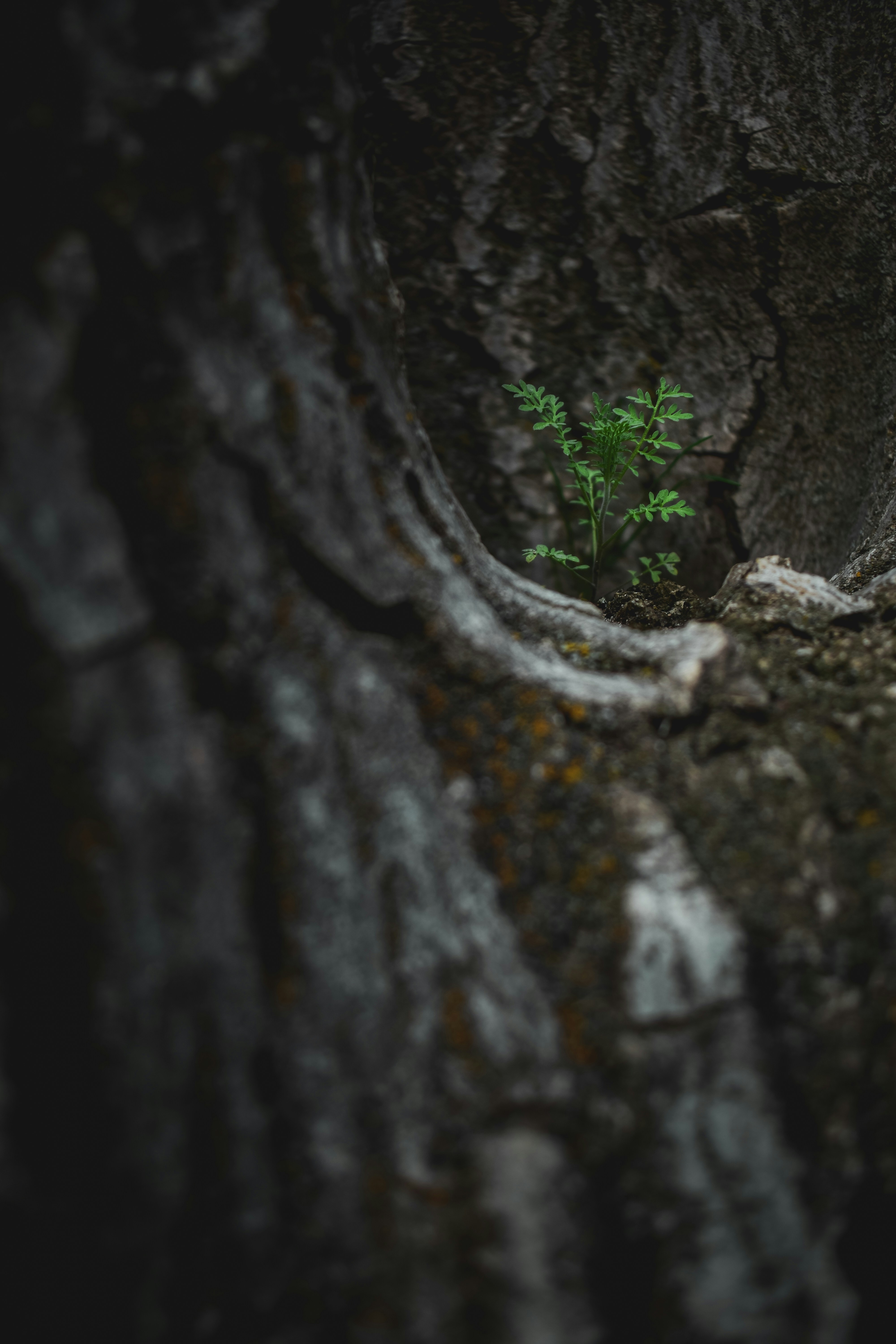 Photo by aliisarvari