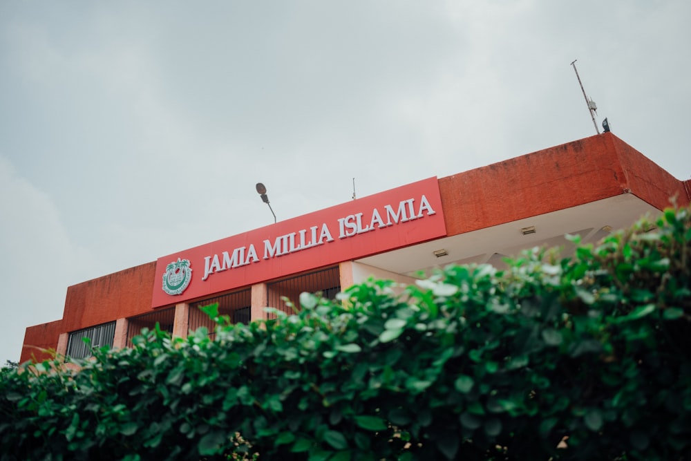 green plant near red and white concrete building