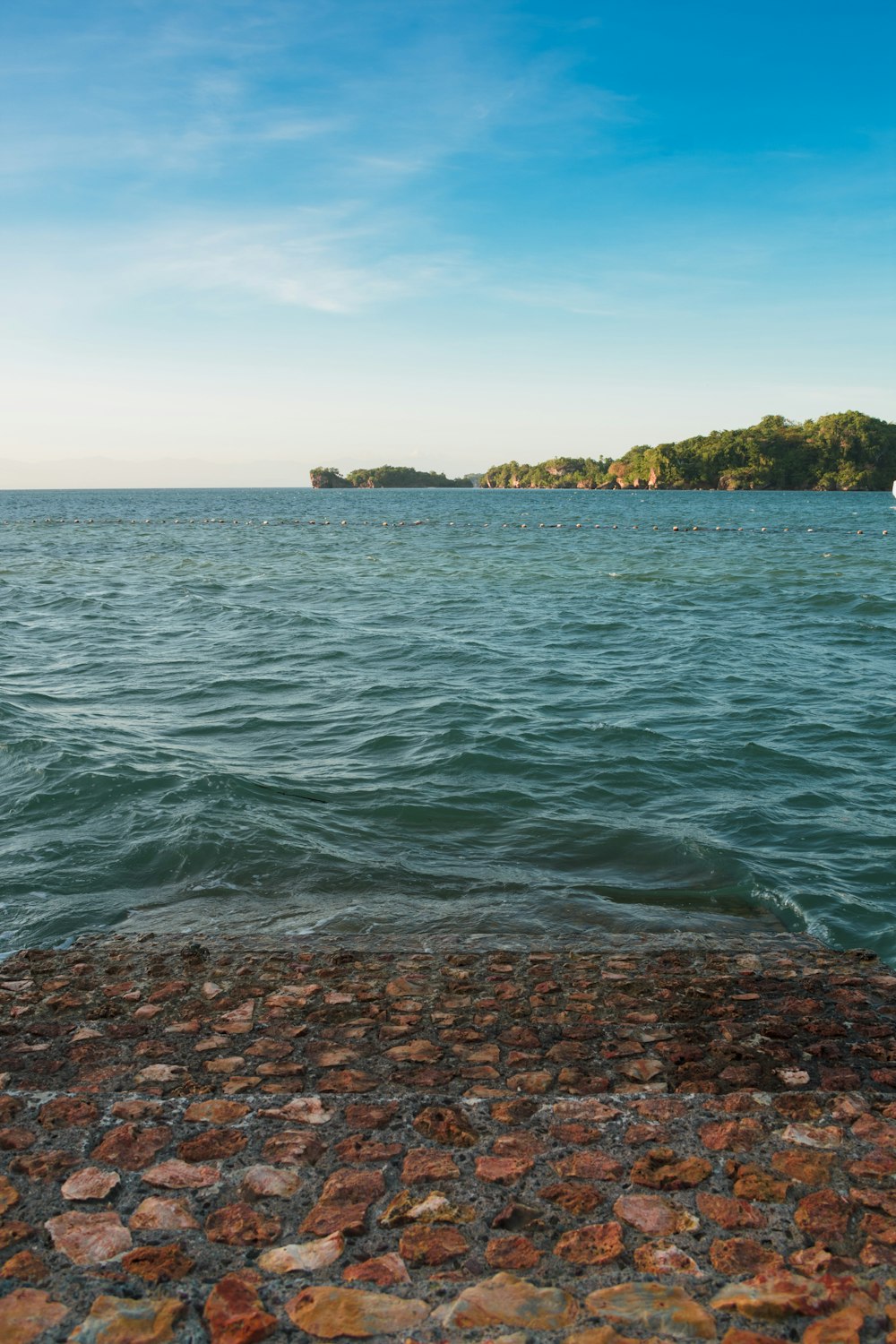 body of water near green trees during daytime