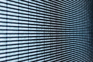 white and black plaid textile