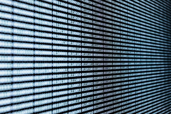 white and black plaid textile