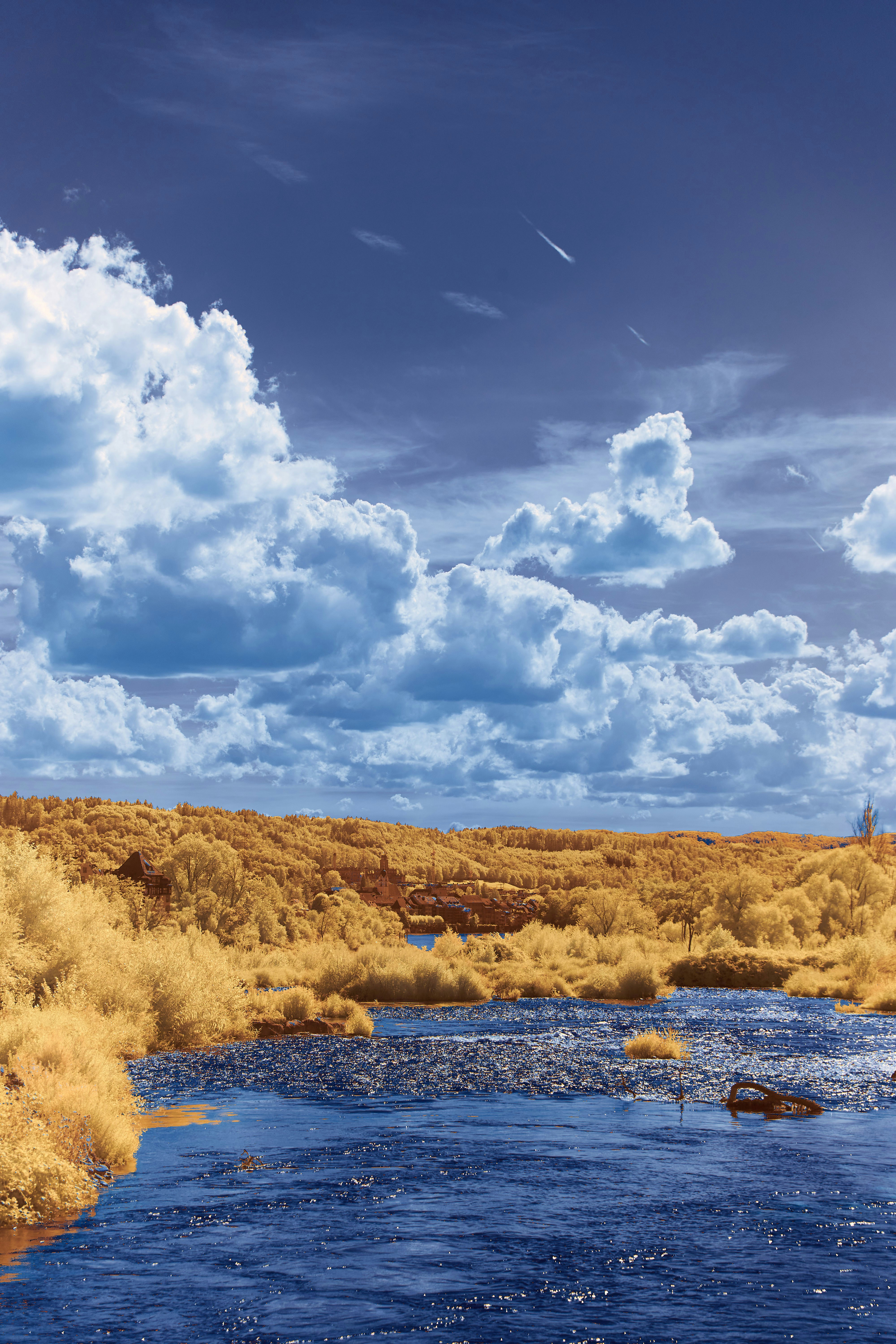 Photo by wolfgang_hasselmann