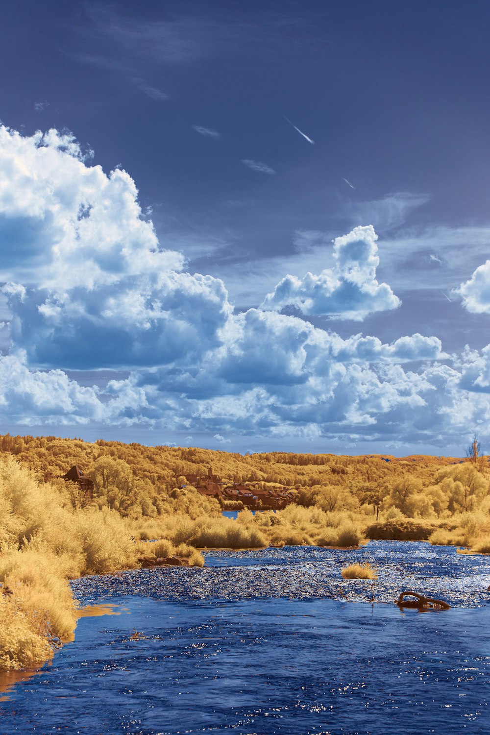 campo de grama marrom perto do corpo de água sob nuvens brancas e céu azul durante o dia