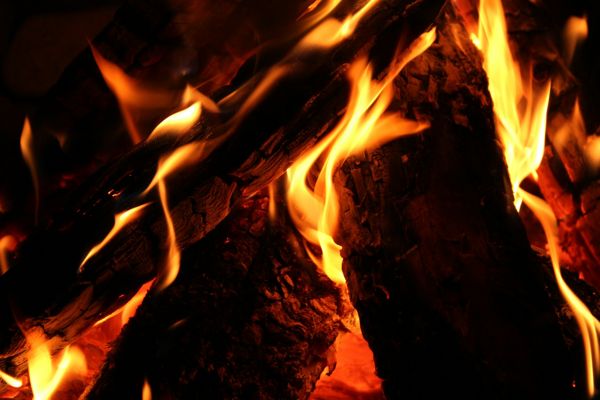 close up photo of fire