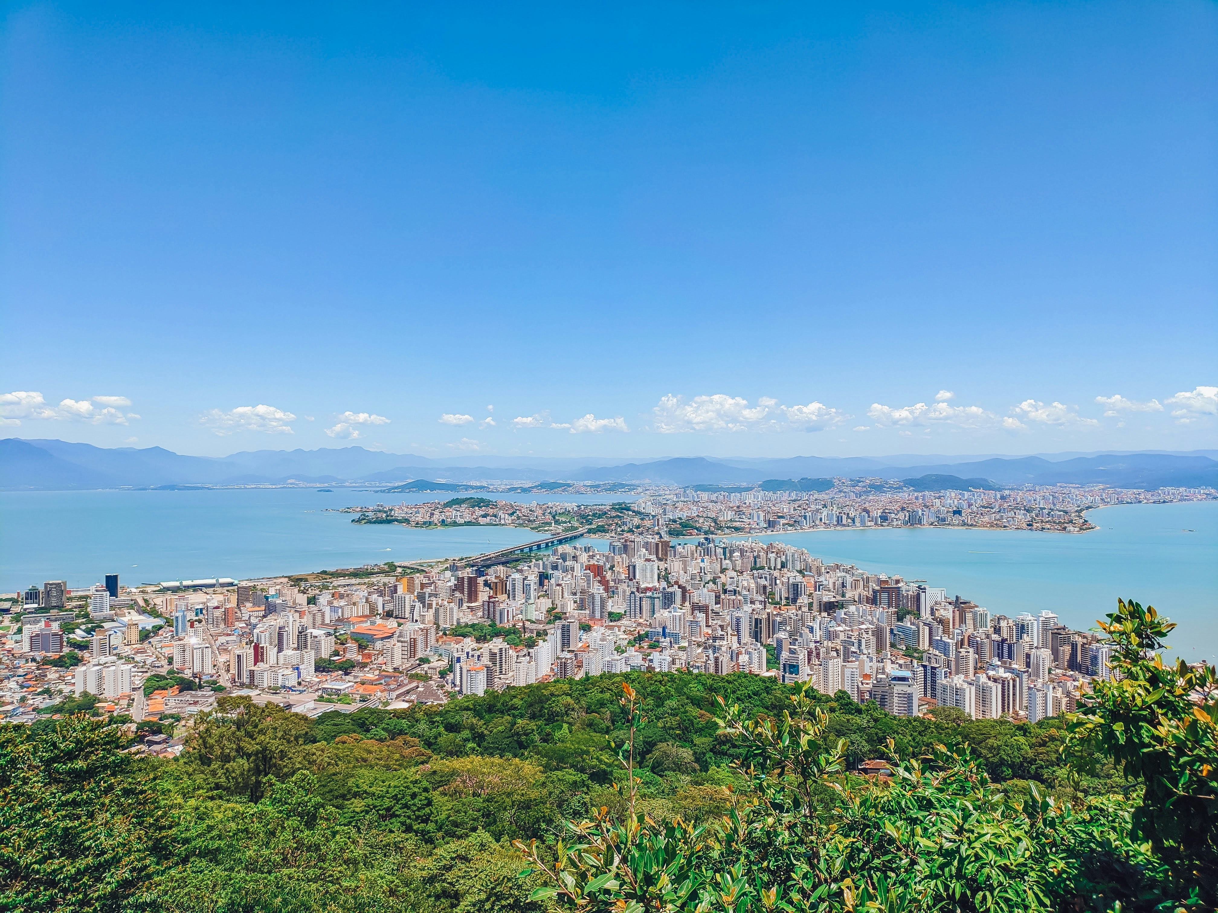 city buildings near body of water during daytime