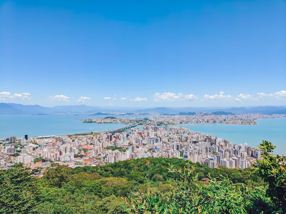 city buildings near body of water during daytime