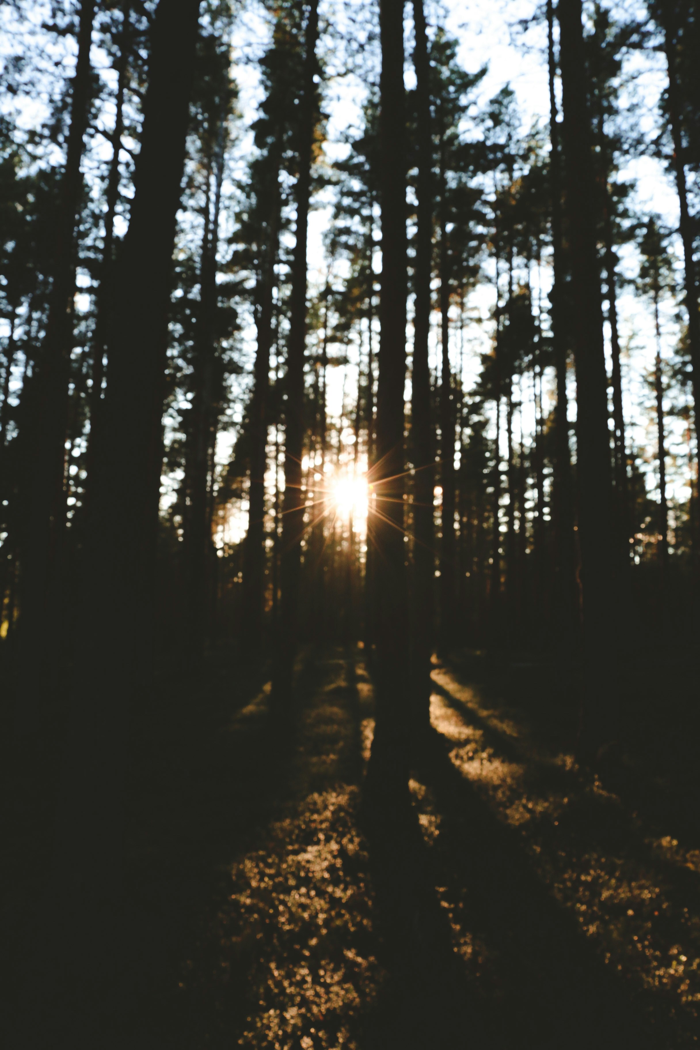 Photo by thatgirlalina