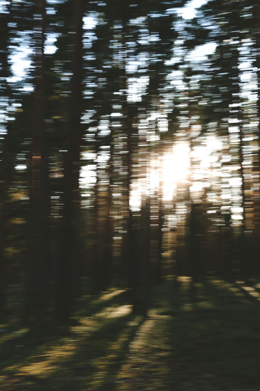 a blurry photo of a forest with the sun shining through the trees