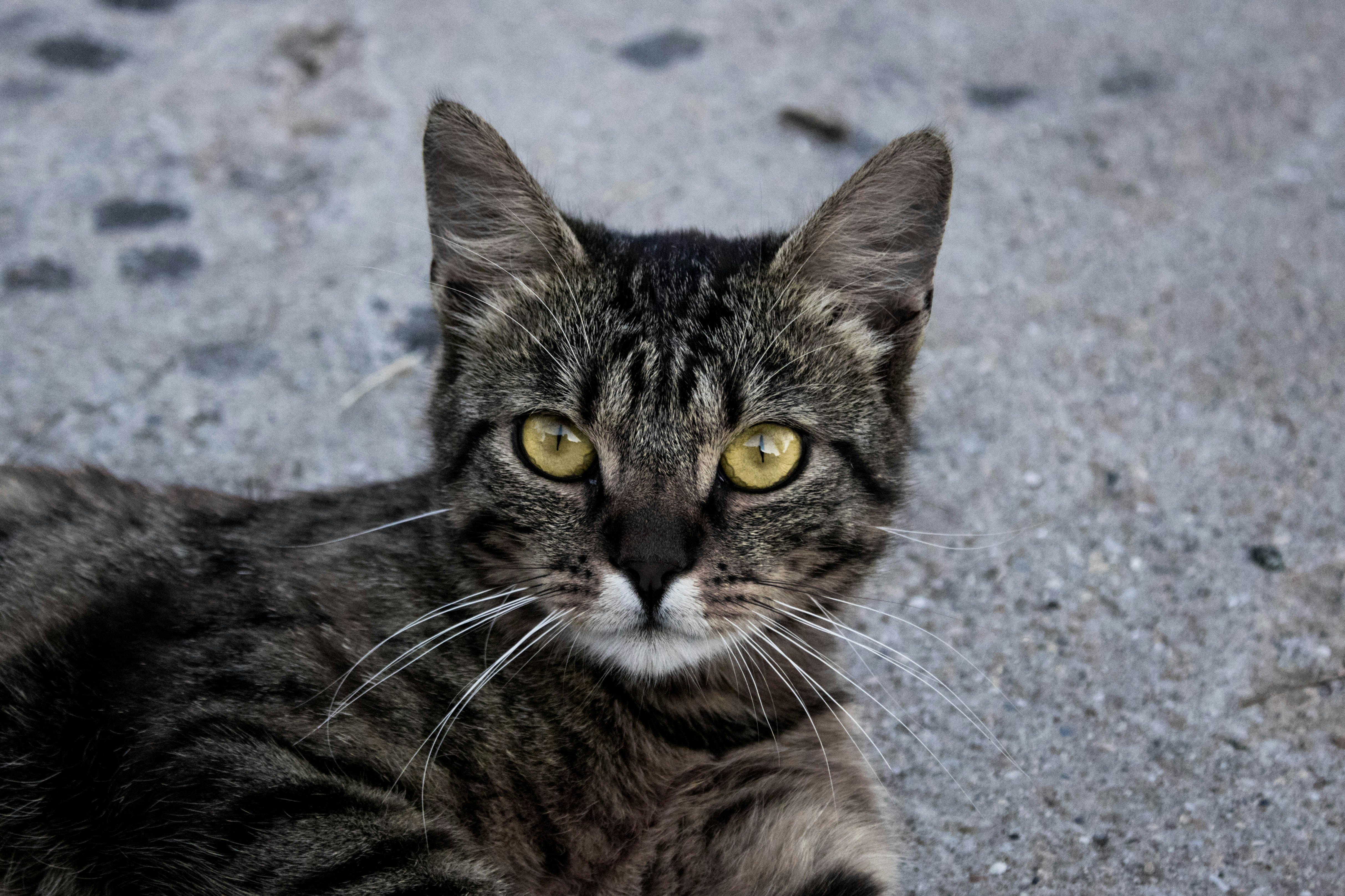 Photo by horvathdavid