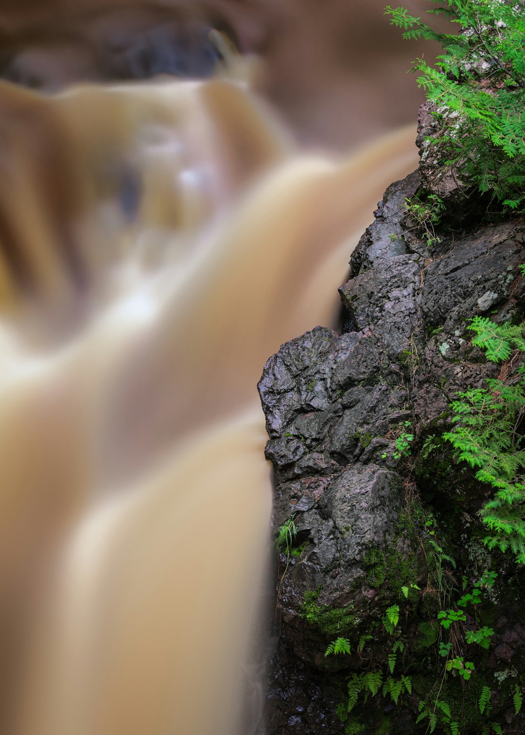 green moss on gray rock