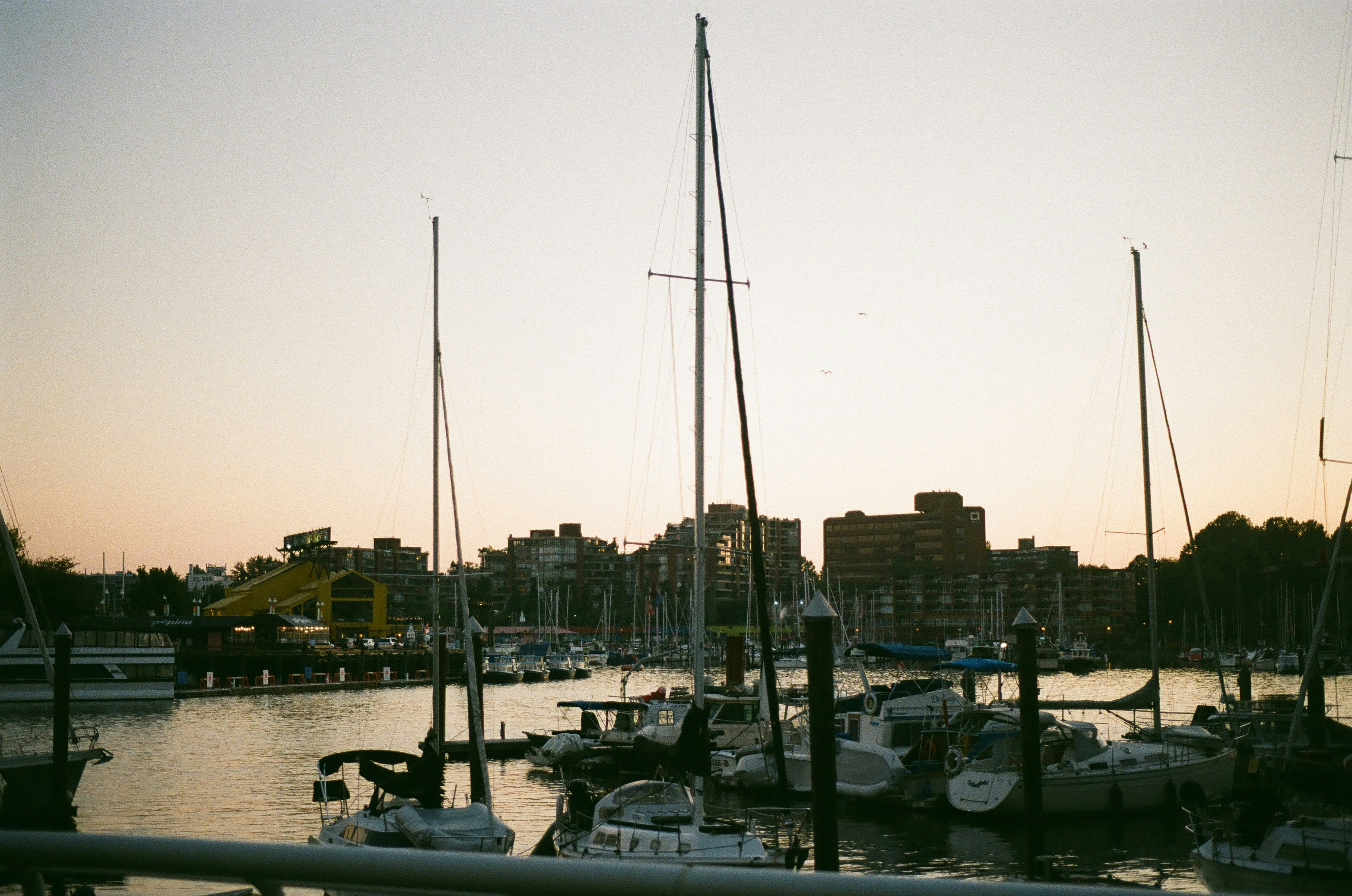 Photo by alexiasaumon