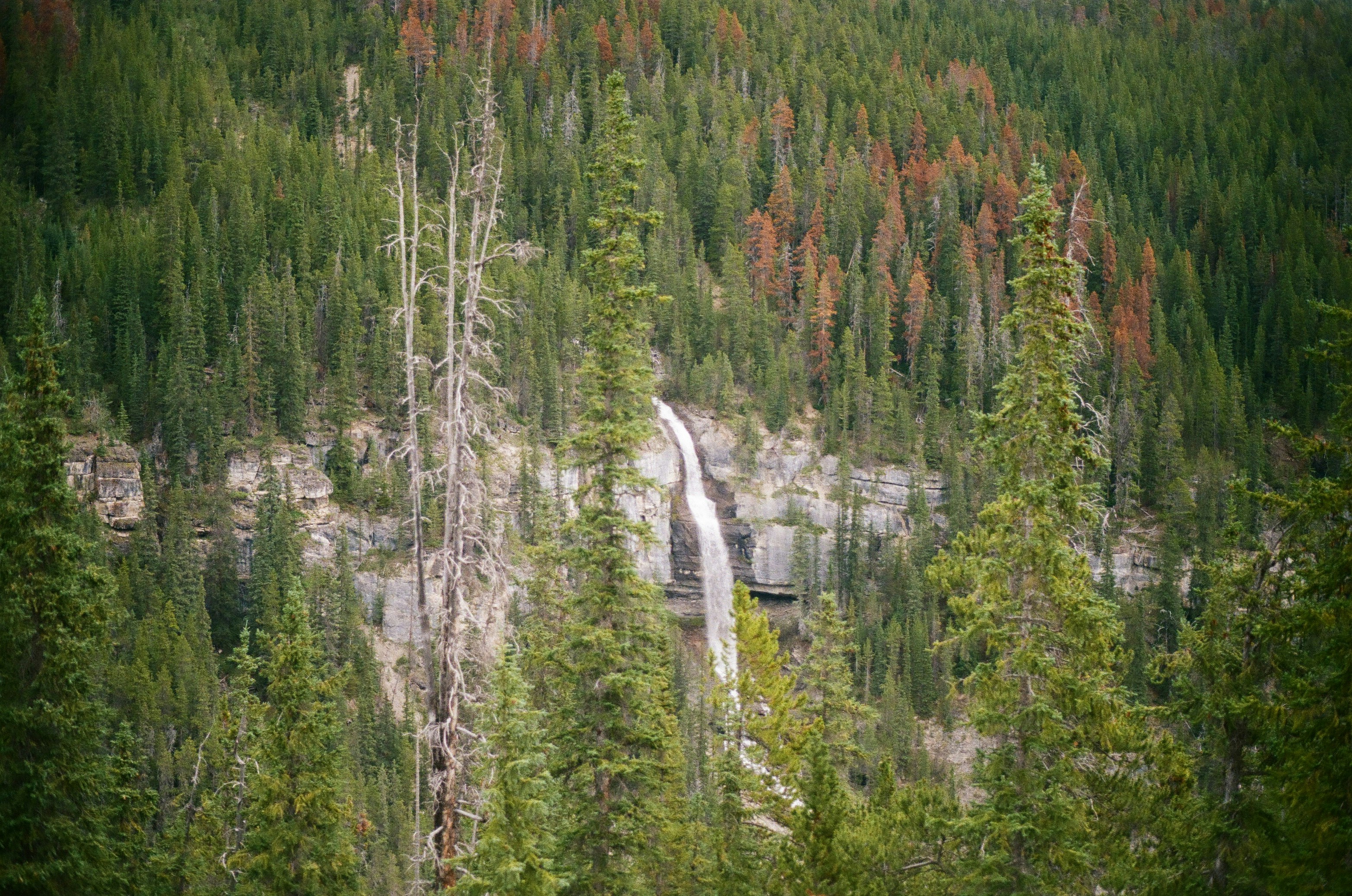 Photo by alexiasaumon