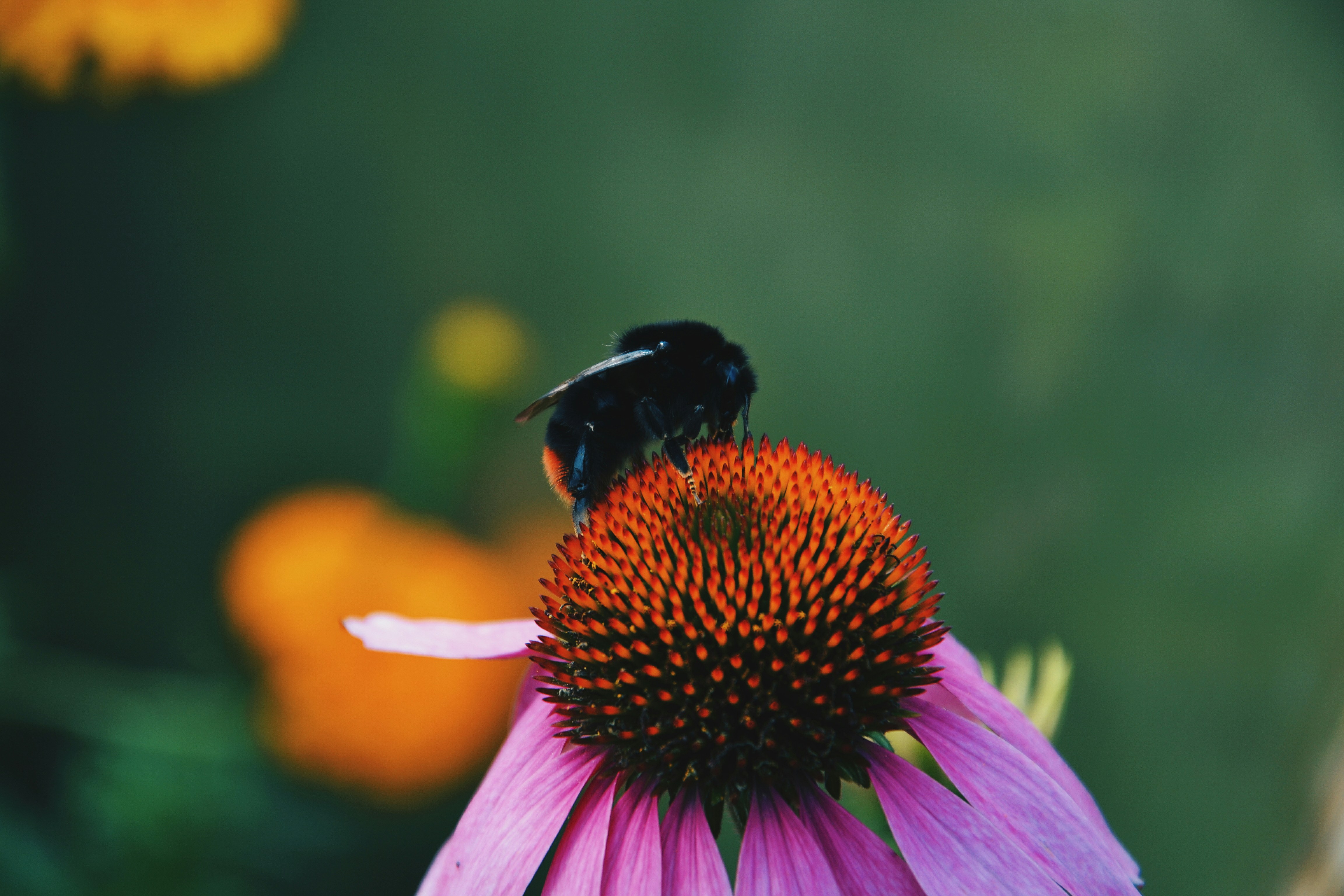 Photo by filedoesnotexist