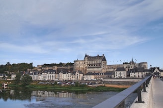 A grand castle-like building perched on a hill overlooks a quaint town with rows of historic houses. The river reflects the skyline, and a bridge spans across the water. Flags flutter atop the structure, emphasizing its majesty.