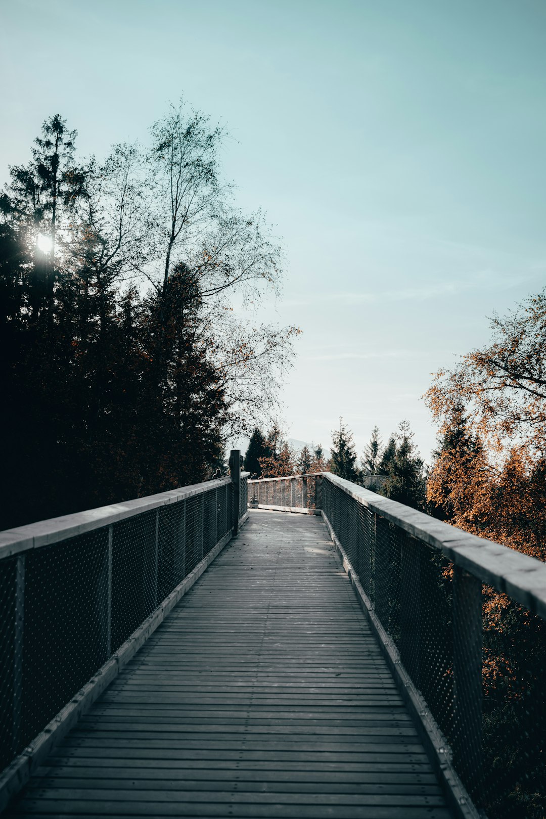 Bridge photo spot High Tatras Walkway canopy Bachledka