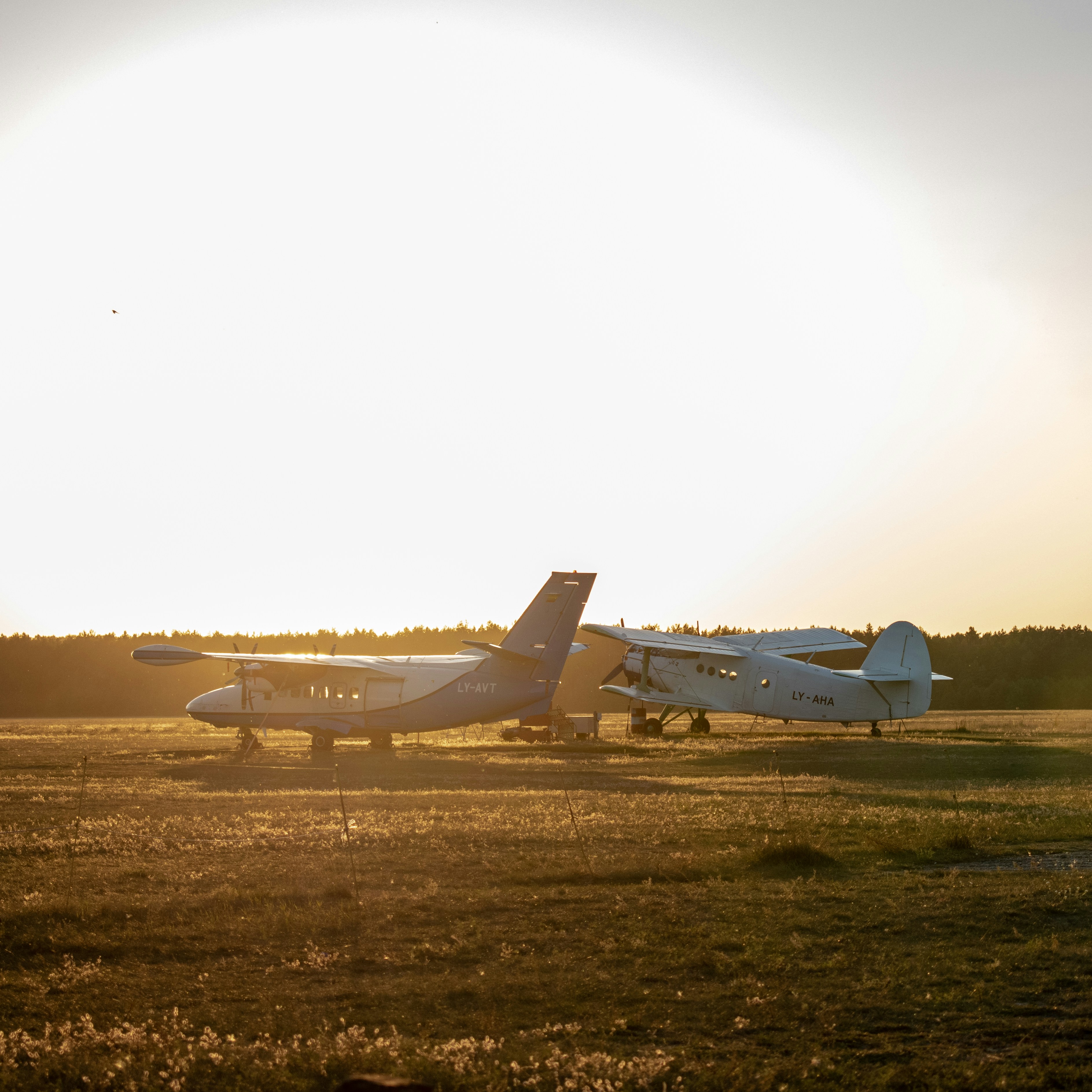 white airplane on green grass field during daytime