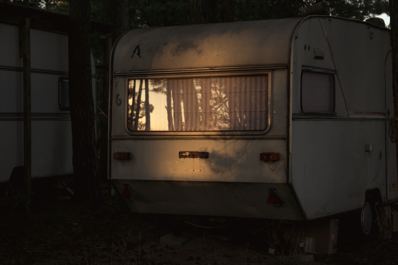 white van with brown door