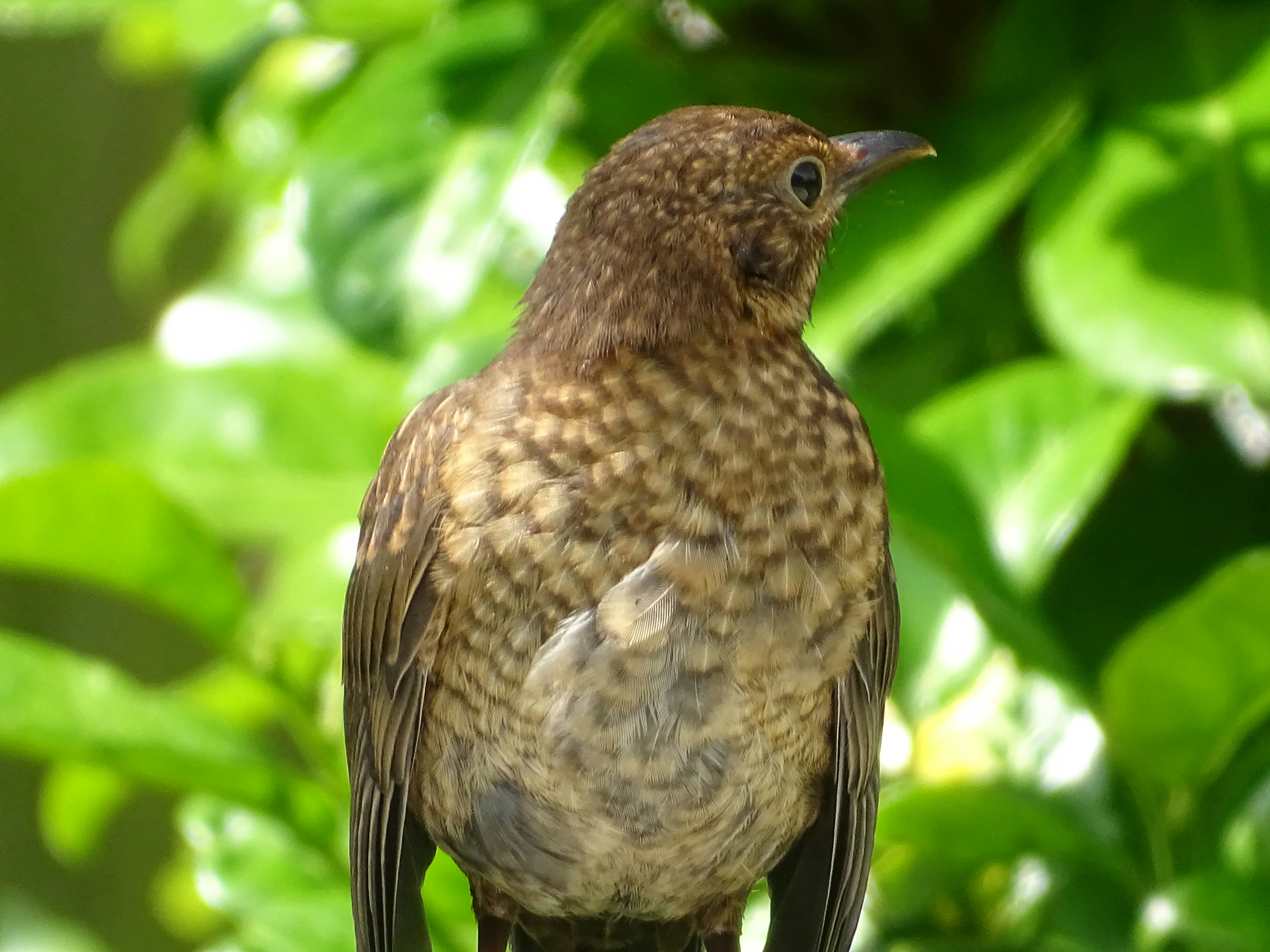 Photo by akatosharine