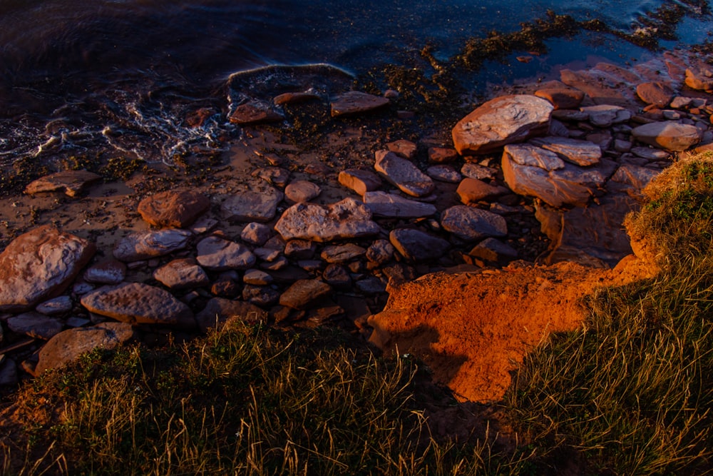 brown and gray rocks on body of water