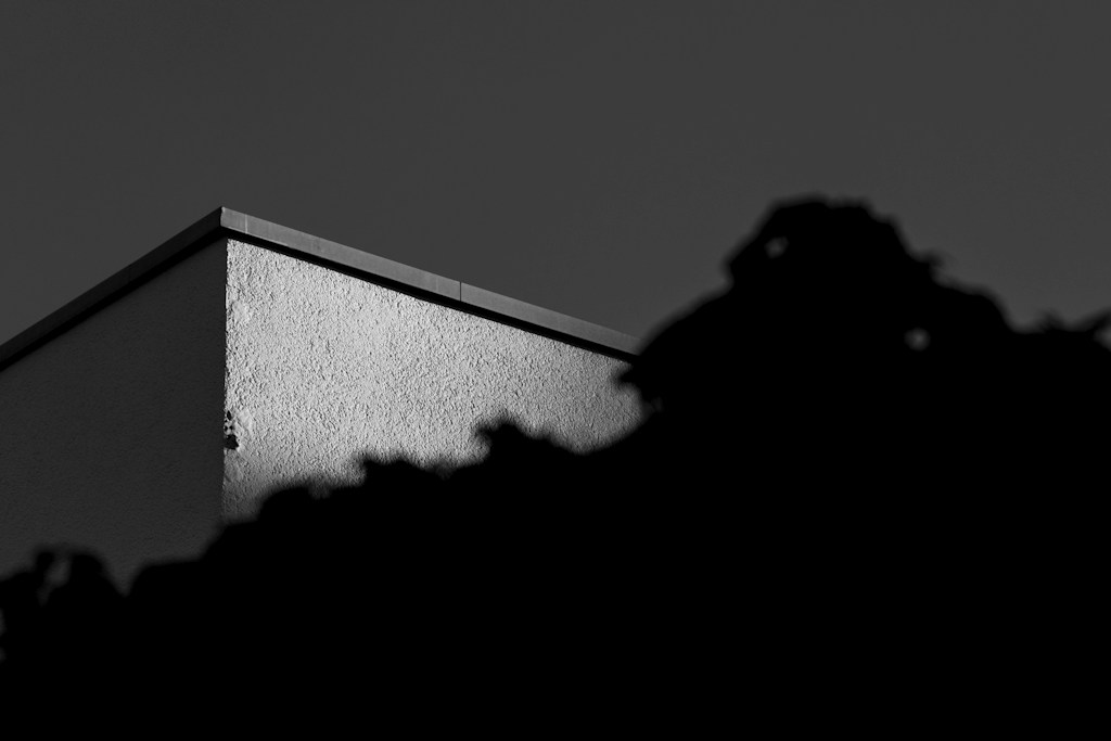 Timeless Stillness