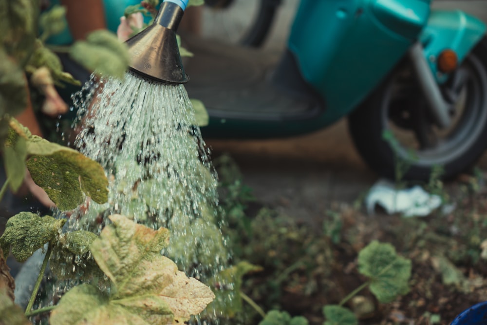 vassoura verde e marrom ao lado de motocicleta azul e preta