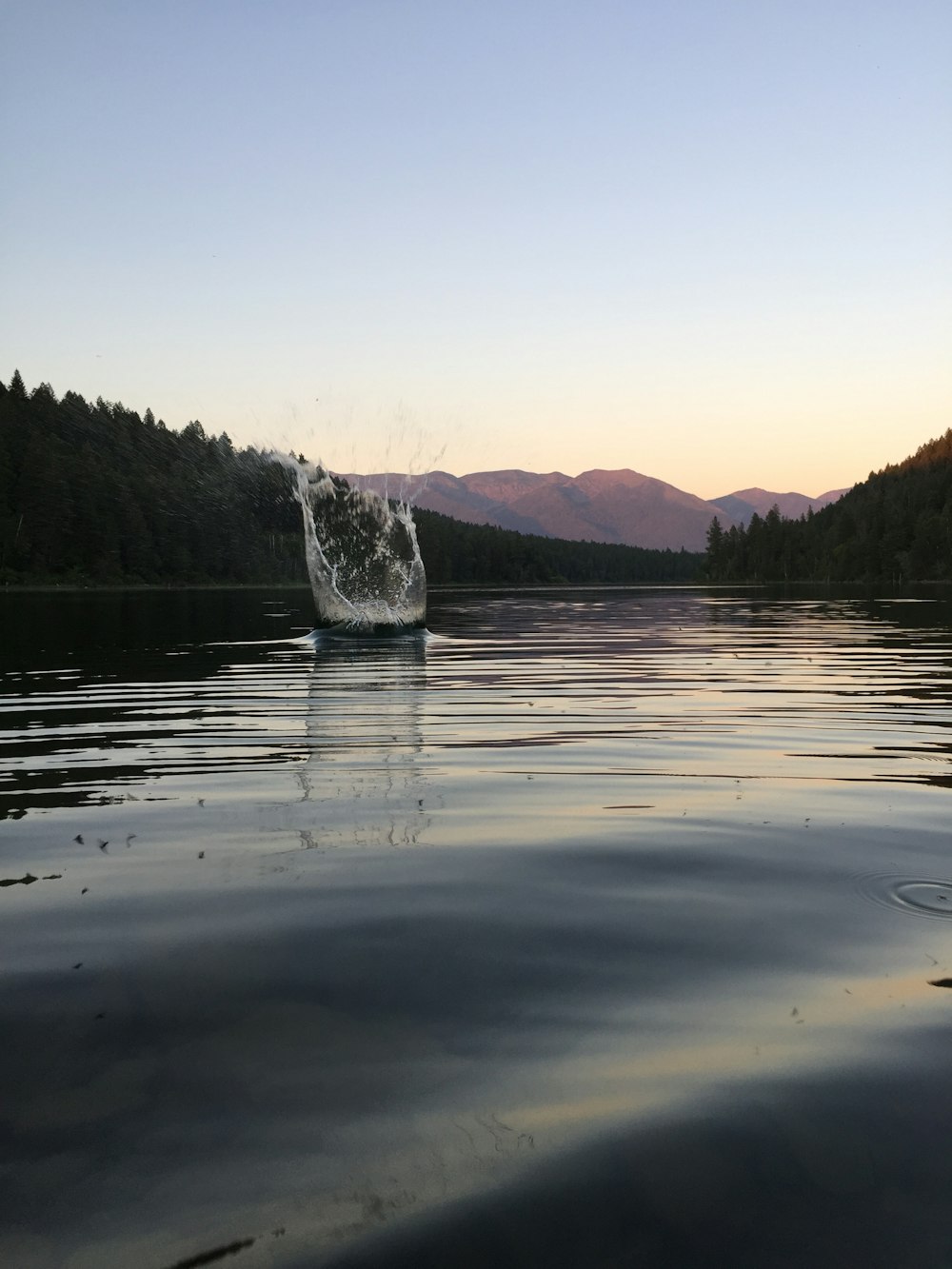 body of water near green trees during daytime