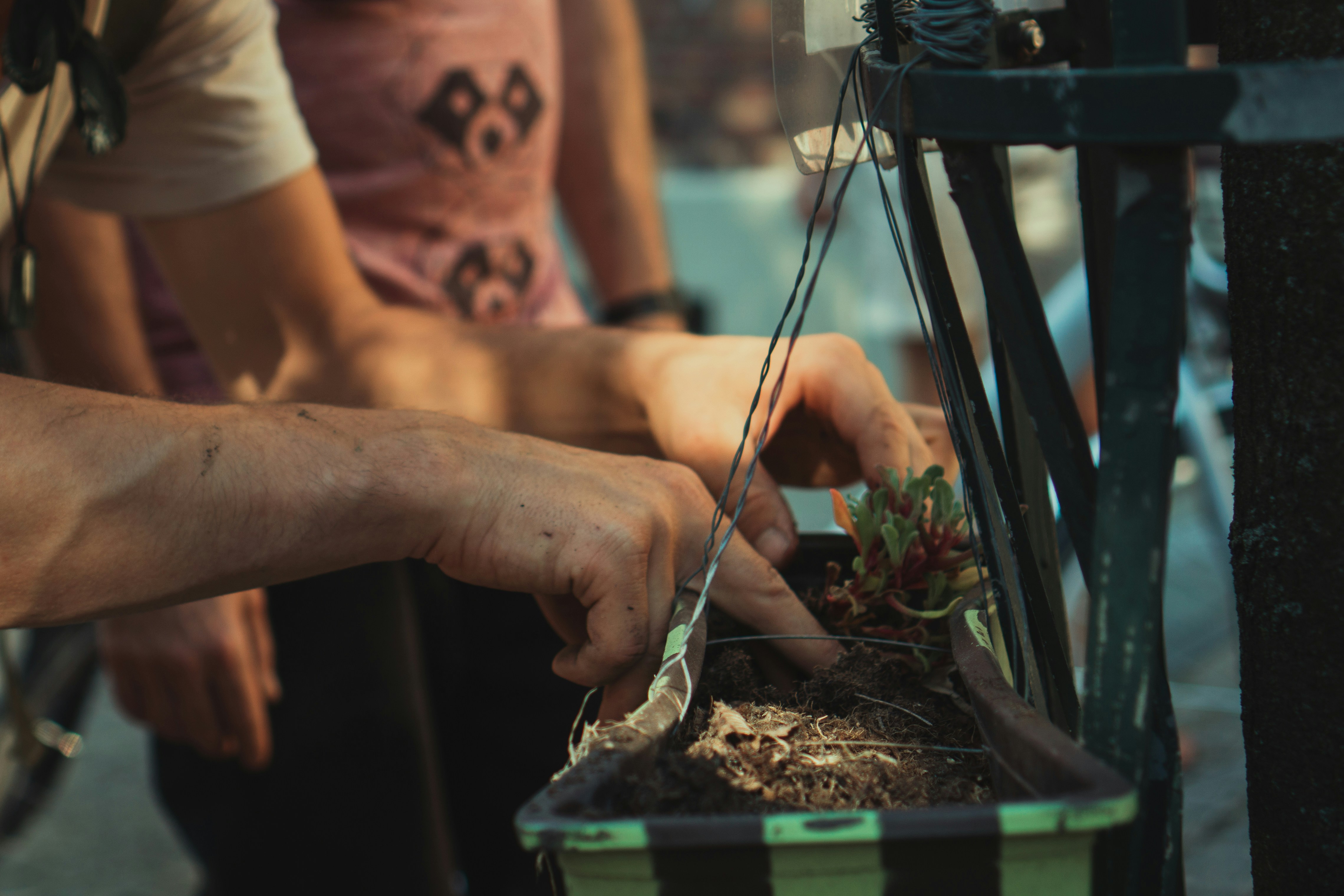 The Seedling Doesn't Get a Vote: What Transplant Shock Can Teach Founders About Moving Too Soon