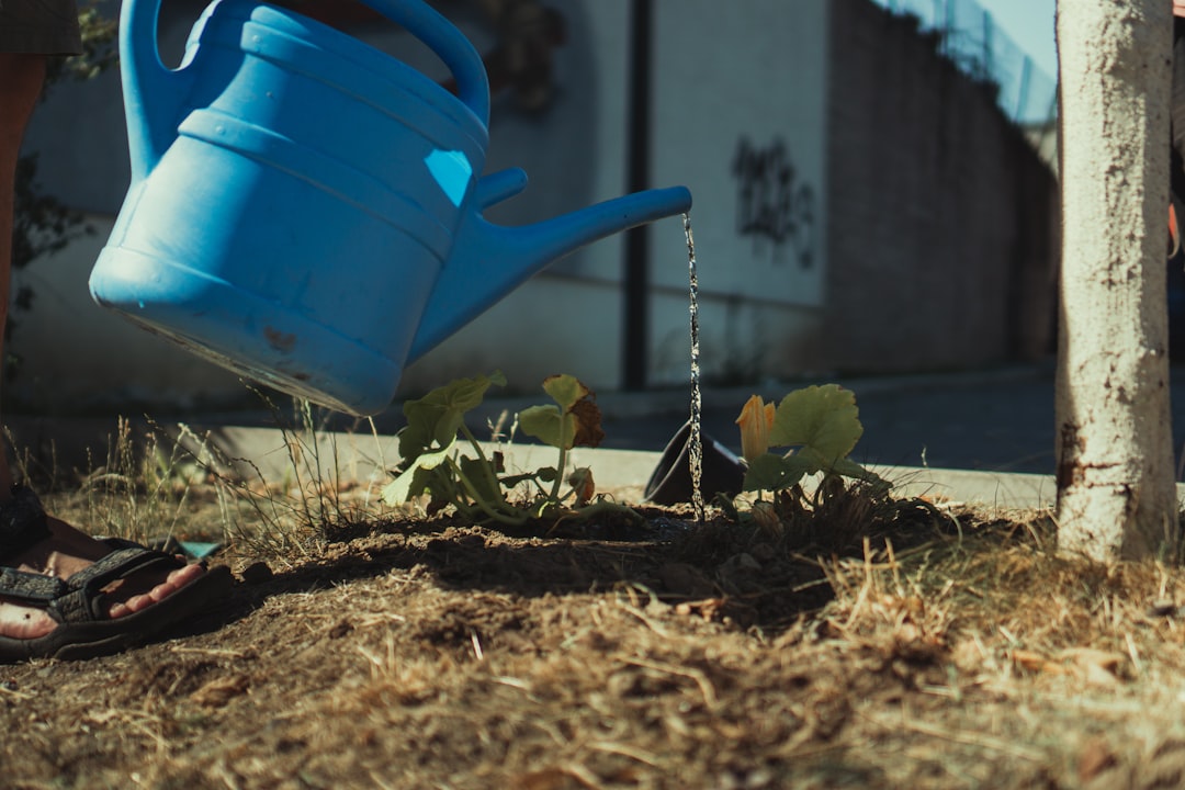 blue watering can on brown dried leaves