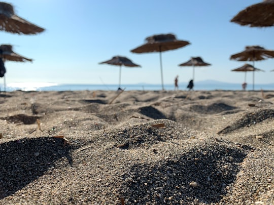 brown and black stones on brown sand during daytime in Burgas Bulgaria