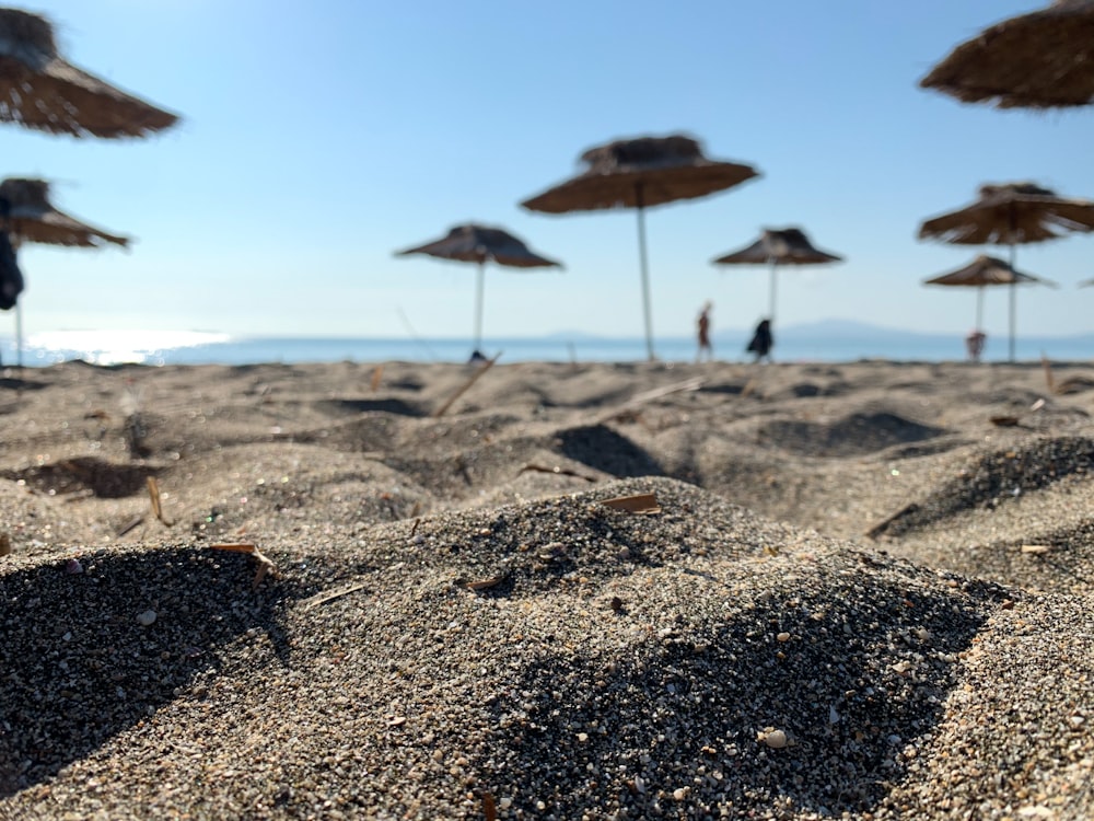 pierres brunes et noires sur sable brun pendant la journée