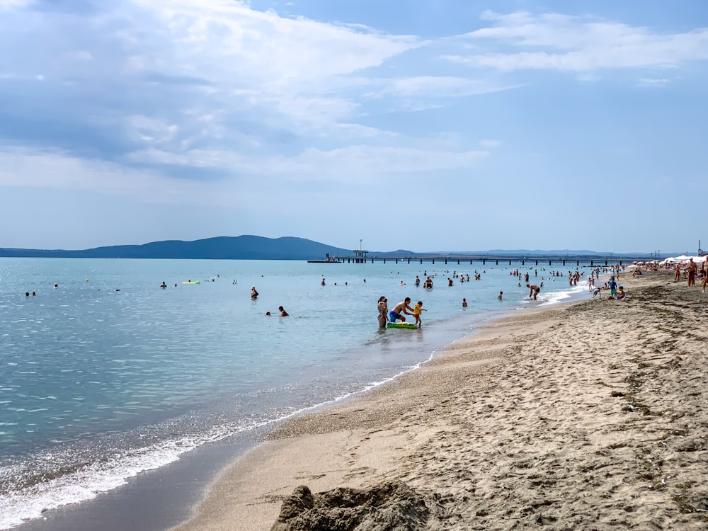 people on beach during daytime