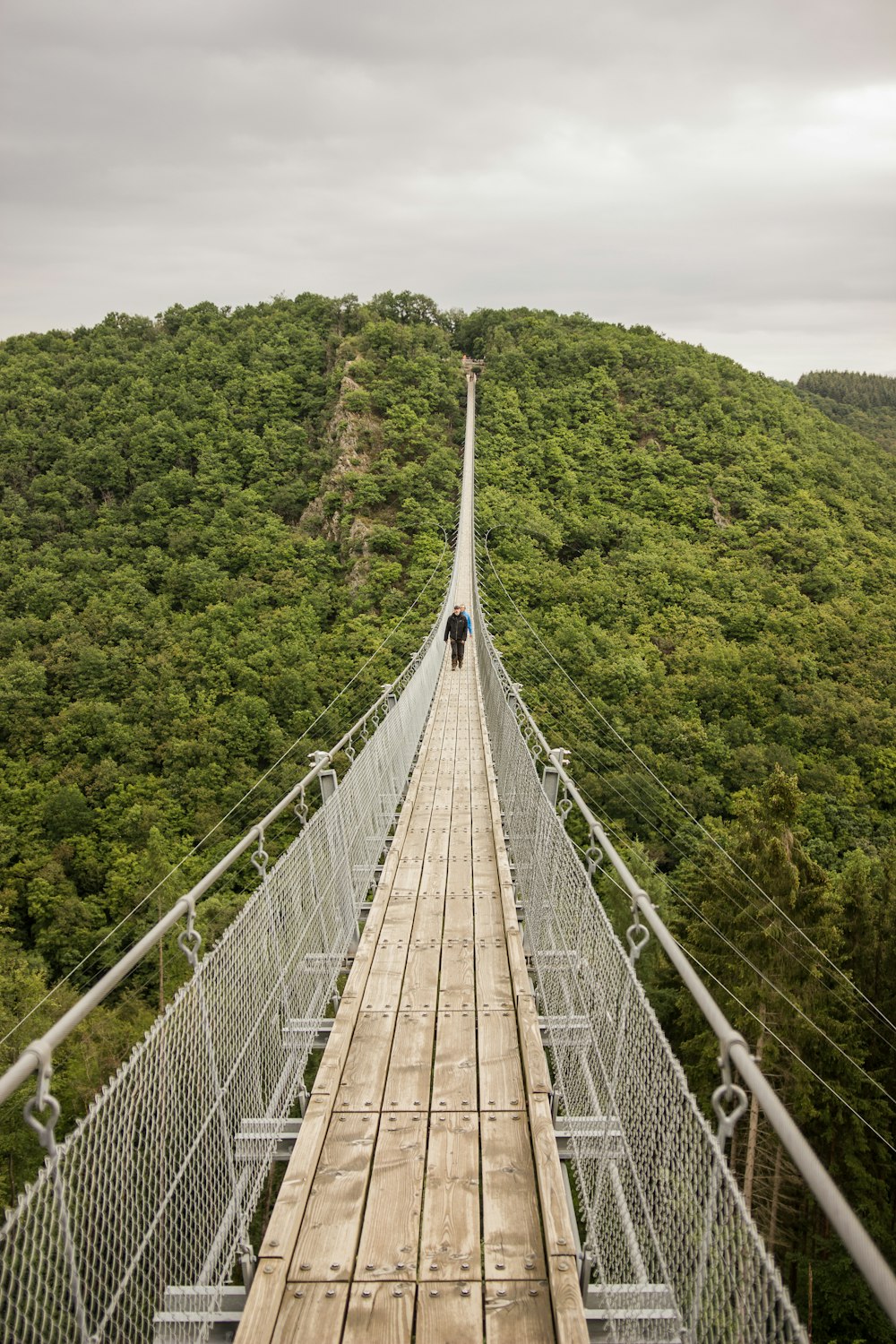 brown wooden bridge over green trees during daytime