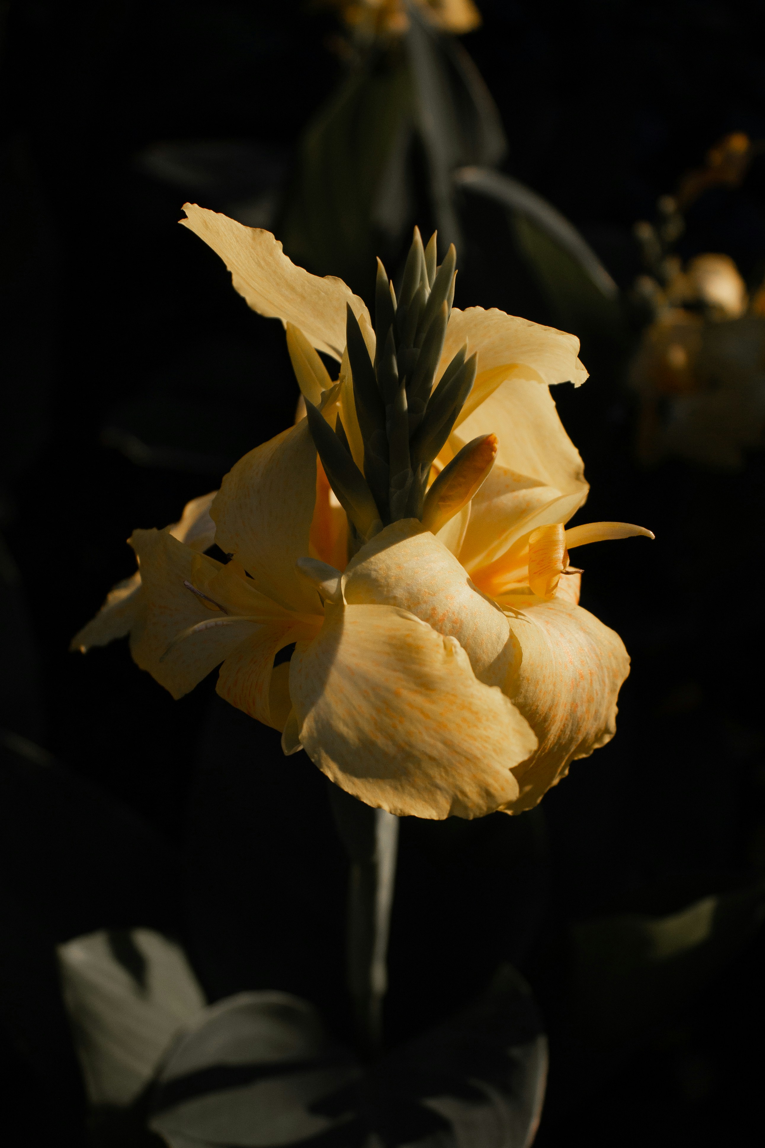 Photo by albina___white