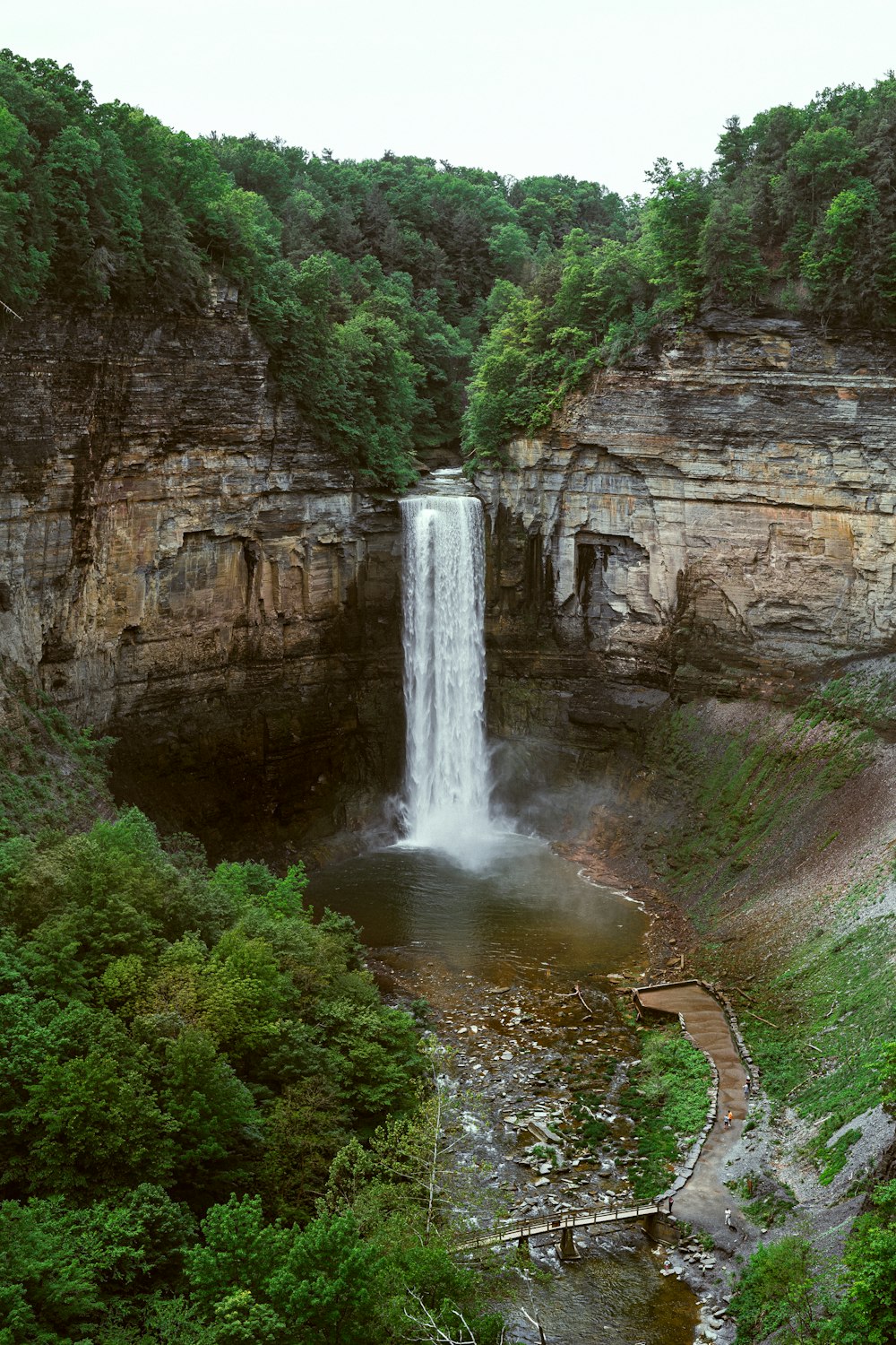 El agua cae entre los árboles verdes durante el día