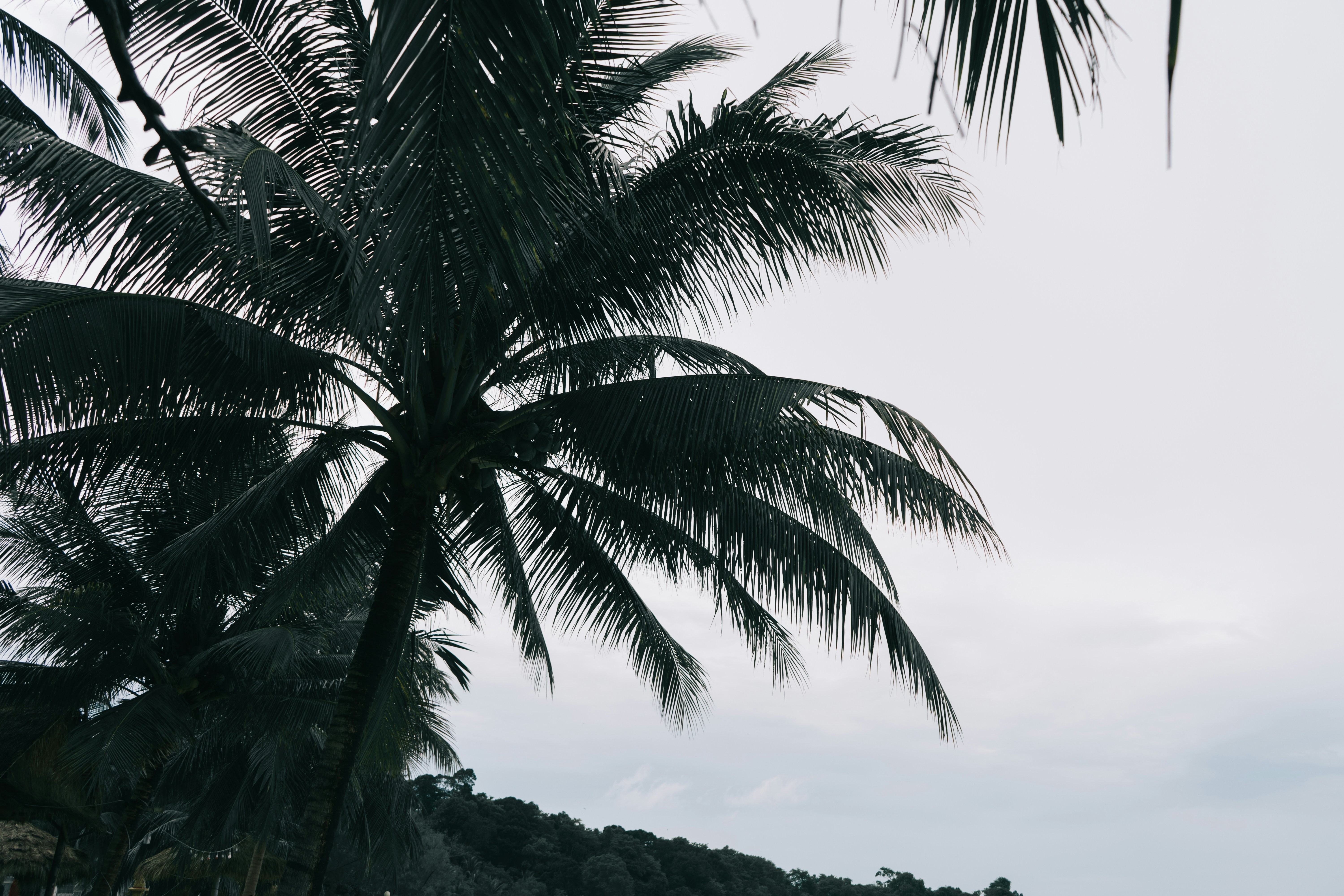 Photo by nicolasjleclercq