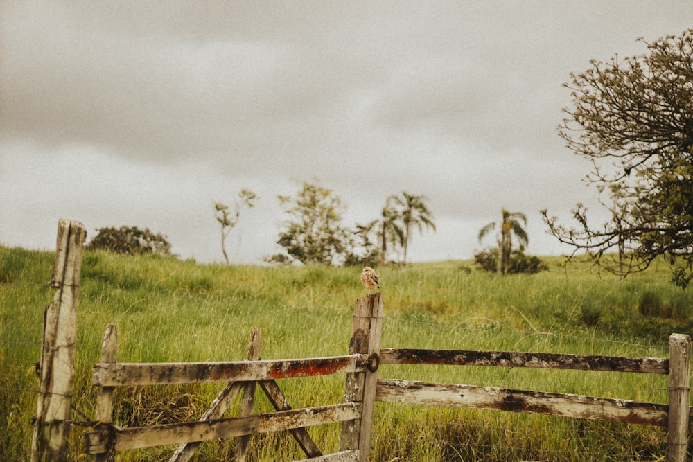 brown wooden fence on green grass field under white clouds during daytime