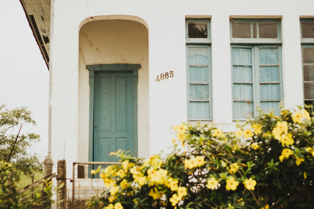 yellow flowers in front of white concrete building