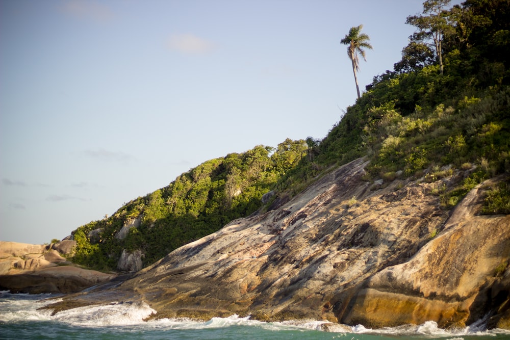 green and brown mountain beside body of water during daytime