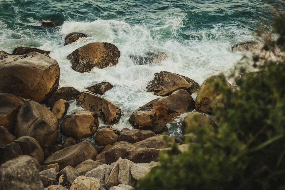 brown rocks on seashore during daytime